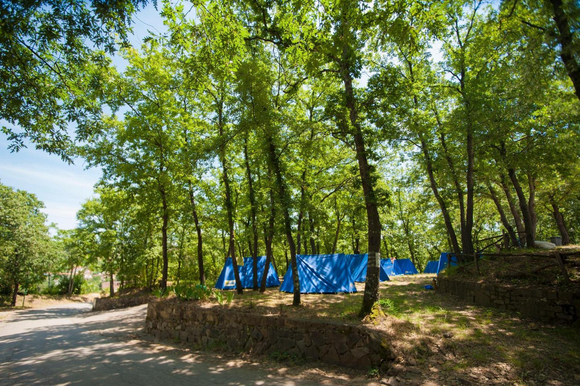 Hu Firenze Certosa Camping In Town Impruneta Exterior foto